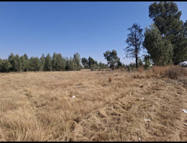 16,225M² SMALLHOLDING FOR SALE IN MIDDELVLEI AH